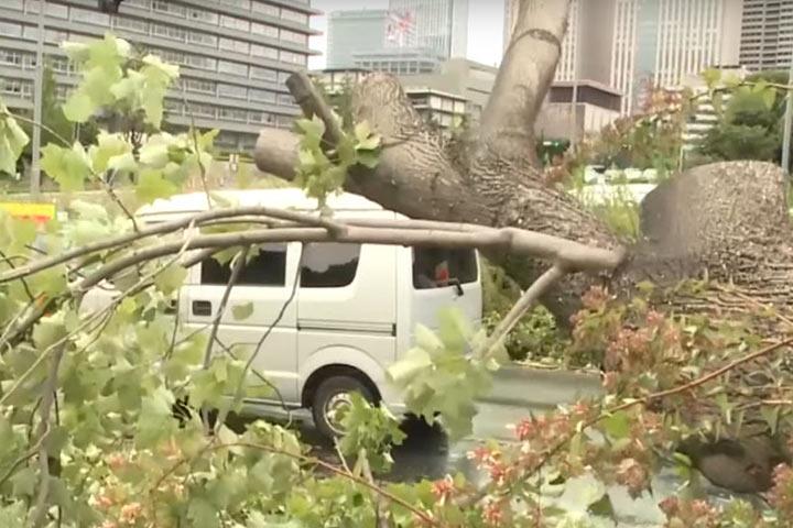 Тайфуны "Факсай" и "Линлин" привели к жертвам на Дальнем Востоке