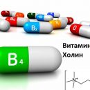 Неврологи рекомендуют пожизненный прием витамина В4