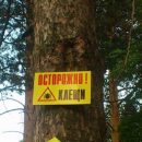 Жителям Хакасии напомнили, как жарить шашлык и защититься от клещей