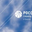 Прямые линии Россети Сибирь: чем интересуются потребители