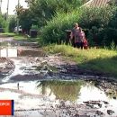 Жители Черногорска решили переименовать улицу Лесную в Болотную Жители Черногорска решили переименовать улицу Лесную в Болотную